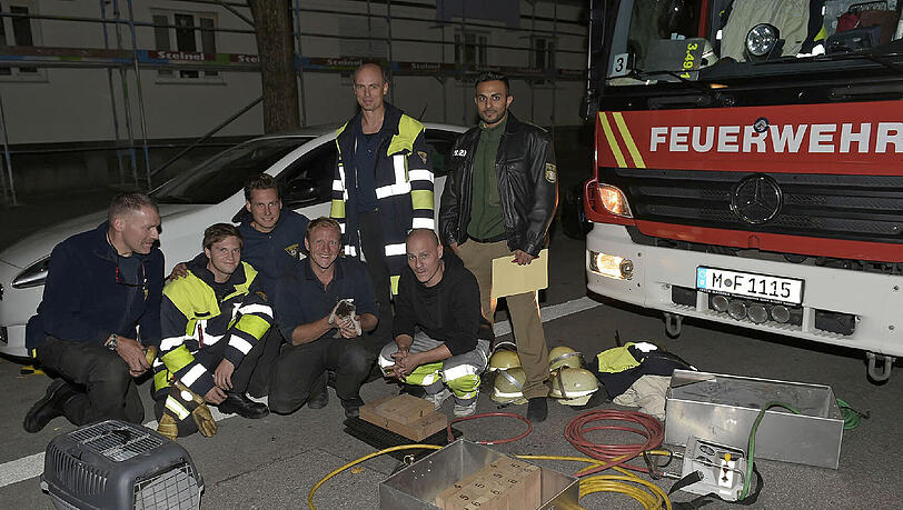 Die Münchner Feuerwehr konnte am Freitag eine Katze aus dem Motorraum eines Fiat Bravo retten. Die Münchner Feuerwehr konnte am Freitag eine Katze aus dem Motorraum eines Fiat Bravo retten.