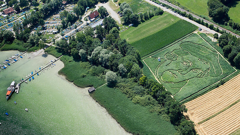 Das Labyrinth in Utting am Ammersee zeigt Martin Luther.