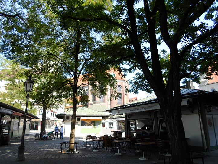 Wegen massiven Blattlaus-Befalls hat den Akazien am Viktualienmarkt bald das letzte Stündlein geschlagen.
