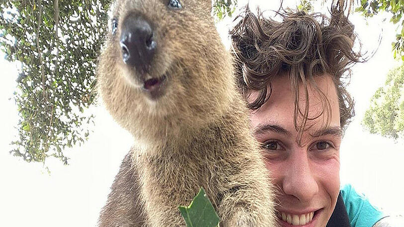 Shawn Mendes scheint einen neuen besten Freund zu haben