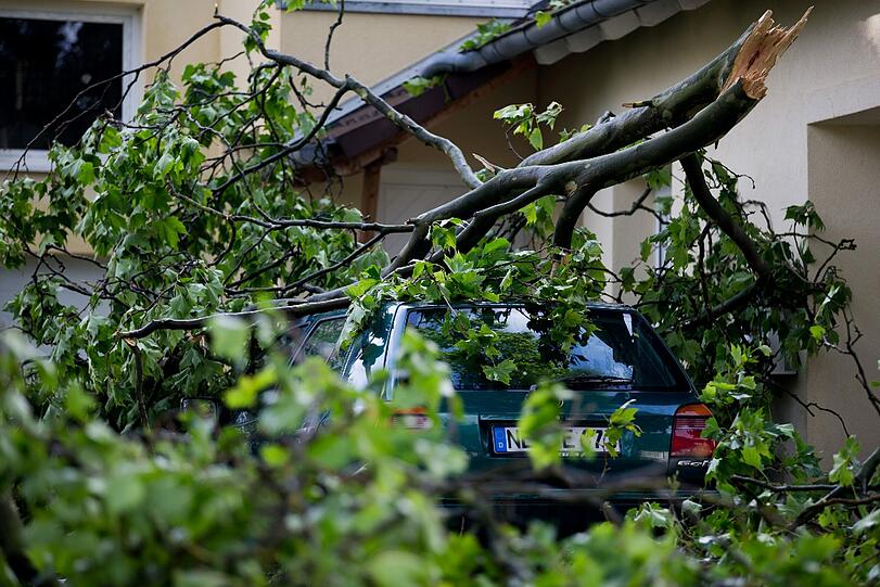 Äste liegen in Gelsenkirchen (Nordrhein-Westfalen) nach einem Unwetter auf einem Auto.
