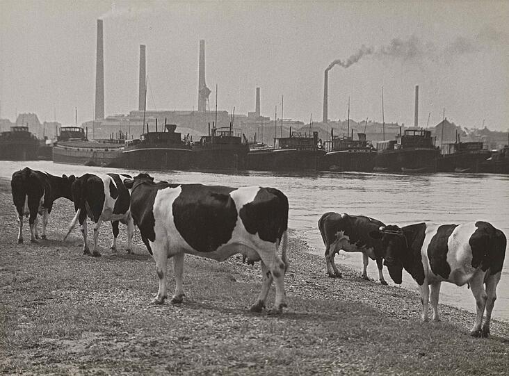 An der Ruhrmündung bei Duisburg, 1929/30.