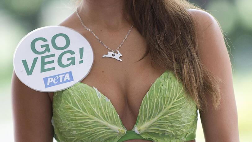 Billiger Blickfänger? Macht (fast) nix: Hauptsache, Menschen denken über ihre Ernährung nach – zum Beispiel bei der Veggie Expo. Billiger Blickfänger? Macht (fast) nix: Hauptsache, Menschen denken über ihre Ernährung nach – zum Beispiel bei der Veggie Expo.