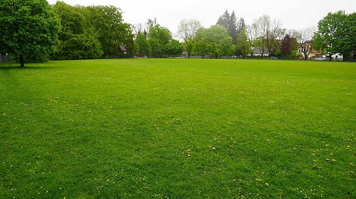 Bolzplatz, Treffpunkt, Erholungsfläche: Anwohner fürchten, dass die Grünfläche durch Bebauung zerstört wird.