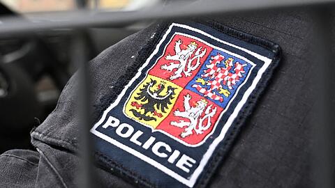 Die tschechische Polizei f&uuml;hrte den ungew&ouml;hnlichen Fund auf einen Diebstahl zur&uuml;ck. (Symbolbild)
