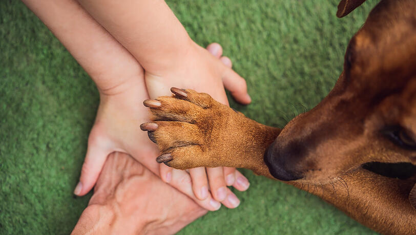 Wie immer gibt es bei "Gutes vereint" auch die Kategorie "Tiere".