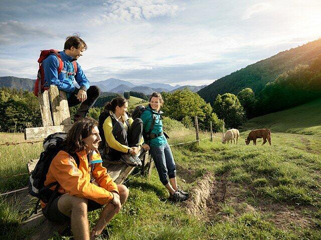 Wiener Alpen