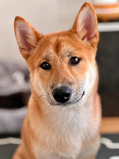 Hiro