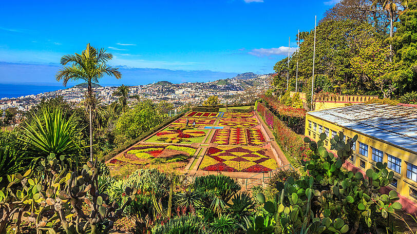 Der berühmte botanische Garten in Funchal auf dem portugiesischen Madeira ist besonders im Februar eine Reise wert