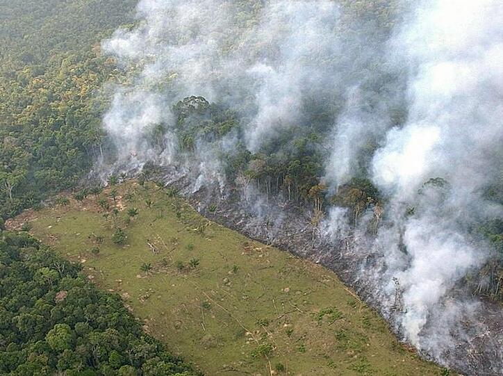 Ein Streifen des Regenwalds des Amazonas nahe der brasilianischen Stadt Manaus wird durch Brandlegung gerodet (Archivfoto).