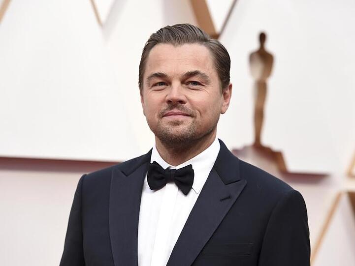 Schauspieler Leonardo DiCaprio plant einen Spielfilm über bedrohte Gorillas.
