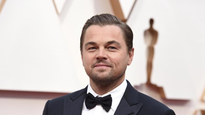 Schauspieler Leonardo DiCaprio plant einen Spielfilm über bedrohte Gorillas. Schauspieler Leonardo DiCaprio plant einen Spielfilm über bedrohte Gorillas.