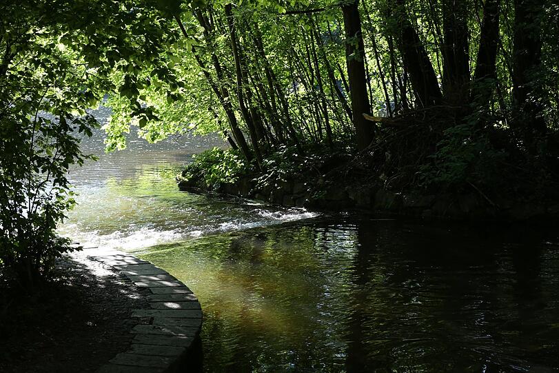 Bachzulauf: künstlich angelegt - und doch ganz schön viel Natur.