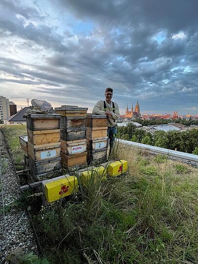 Dr. Jürgen Brandl betreut die Bienen auf dem Dach der Zentrale der Staatlichen Lotterie- und Spielbankverwaltung an der Theresienwiese.