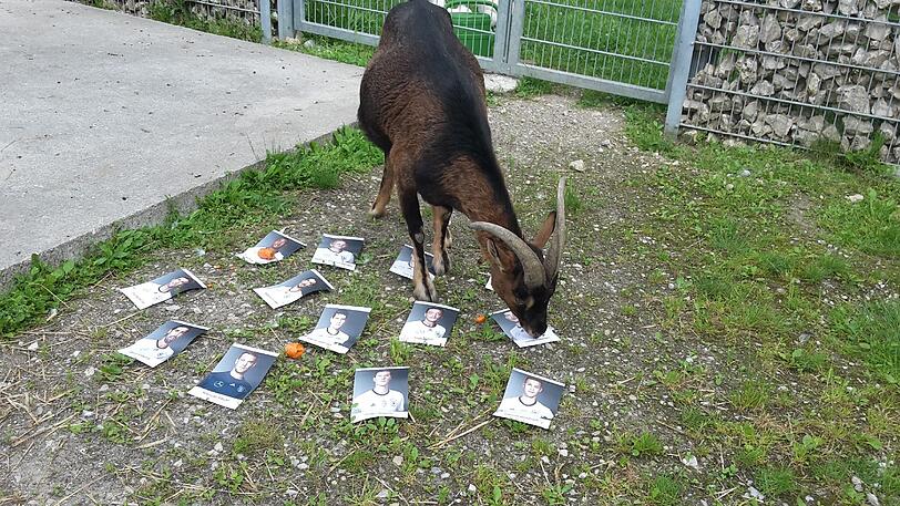 ... ein bisschen Poldi...