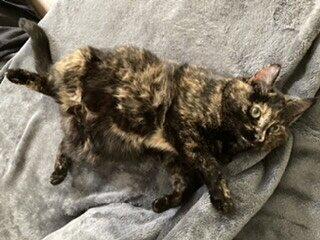 Kira