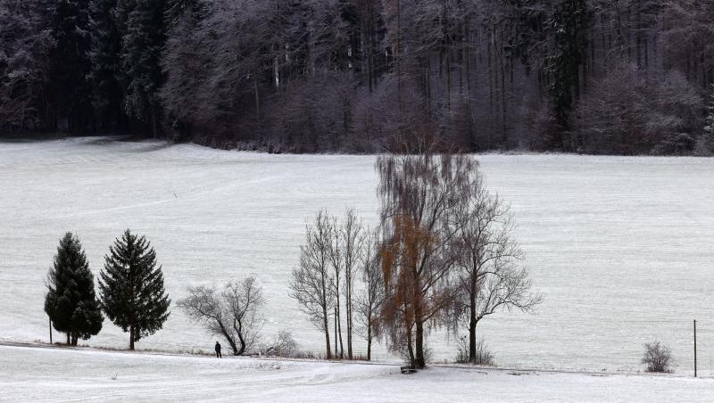 Allein in der Winterlandschaft (Bayern).