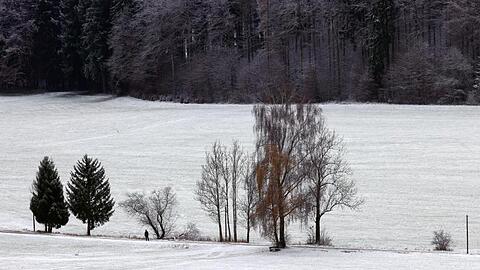 Allein in der Winterlandschaft (Bayern).