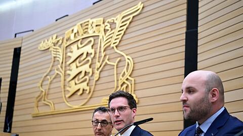 Im Landtag d&uuml;rfte die AfD nun st&auml;rkste Oppositionskraft werden.