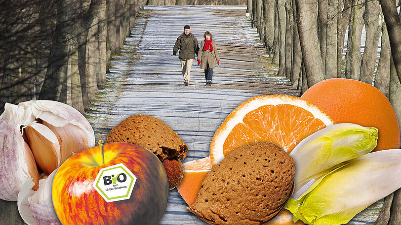 Ausgedehnte Winterspaziergänge und die richtigen Lebensmittel können die Abwehrkräfte jetzt, in der kalten Jahreszeit, entscheidend stärken.