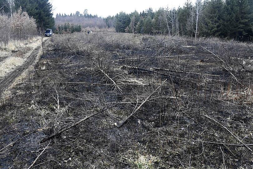 Die Waldbrand-Serie im Münchner Osten geht weiter.