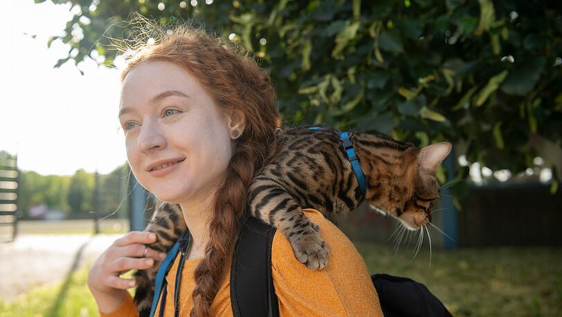 Aktuell werden immer mehr Katzen an der Leine durch Großstadtstraßen geführt. (Archivbild)