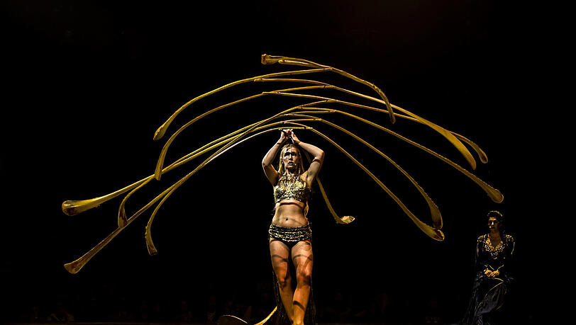 Lara Jacobs Rigolo formt aus 13 Palmblatt-Rispen ein riesiges Mobile.