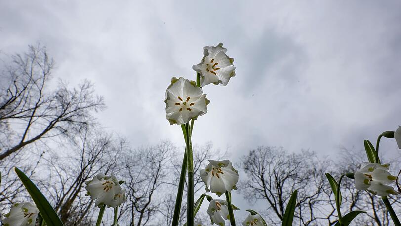 Das Wetter in Deutschland zeigt sich in den kommenden Tagen von seiner ungem&uuml;tlichen Seite. (Symbolbild)