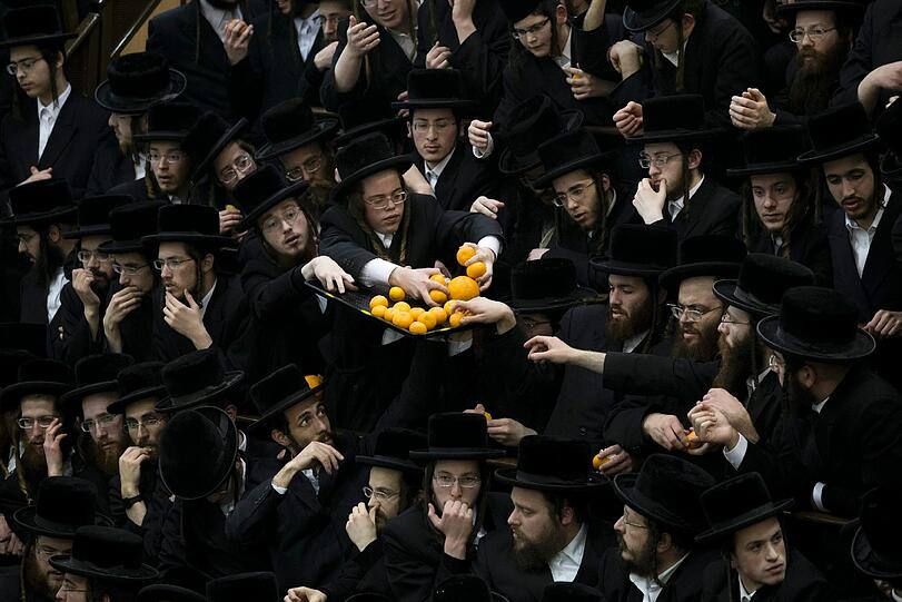 Ultra-Orthodoxe Juden feiern das Tu Bishvat-Fest in Jerusalem.
