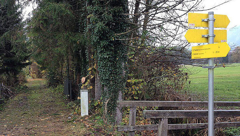 Der Mann war gerade dabei, auf einem privaten Grundstück einen Baum zurück zu schneiden, als ihm die Kettensäge auskam. Der Mann war gerade dabei, auf einem privaten Grundstück einen Baum zurück zu schneiden, als ihm die Kettensäge auskam.