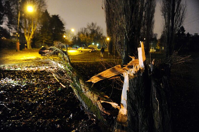 Auch im polnischen Szczecin hat Orkan "Xaver" ein Bild der Zerstörung hinterlassen!