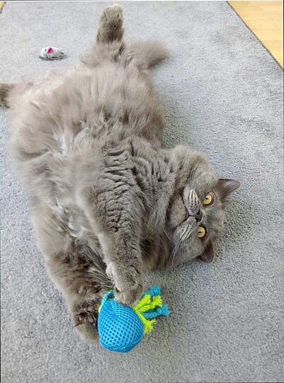 Humphrey