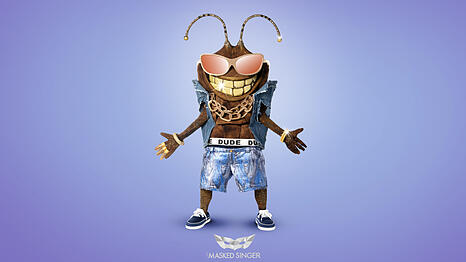 Das Kostüm Dude bei "The Masked Singer".