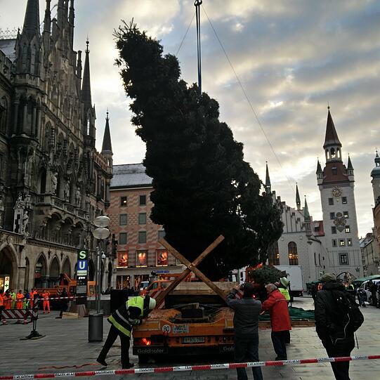 Immer weiter in die Vertikale...