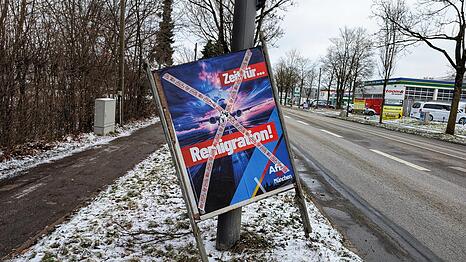 Ein besch&auml;digtes AfD-Plakat.
