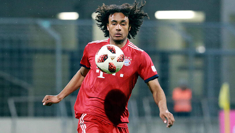 Sturmjuwel des FC Bayern: Joshua Zirkzee. Sturmjuwel des FC Bayern: Joshua Zirkzee.