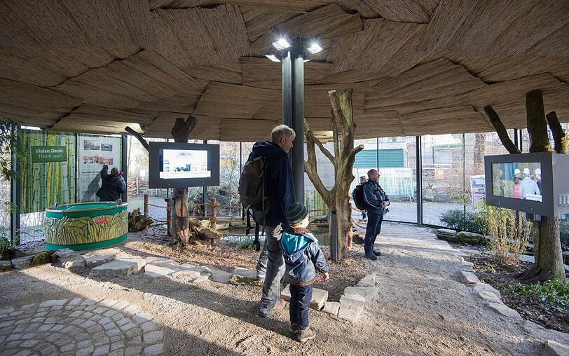 Im Info-Pavillon über das Elefantenhaus können sich Groß und Klein schlau machen.