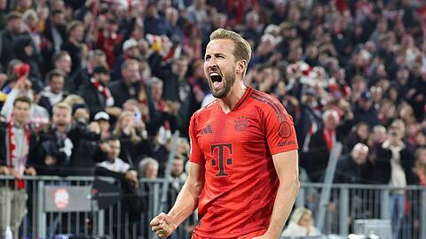 Torjäger des FC Bayern: Harry Kane