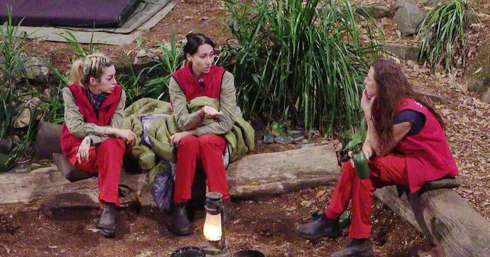 Dschungelcamp-Die-Schuld-der-Zuschauer-und-die-faule-Jugend