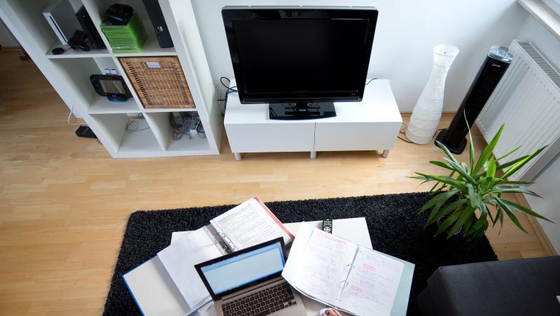 Zu Hause statt im Büro: Eine Frau arbeitet in einem Wohnzimmer an einem Laptop. Zu Hause statt im Büro: Eine Frau arbeitet in einem Wohnzimmer an einem Laptop.