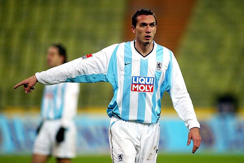 Martin Stranzl (1997 - 2004)