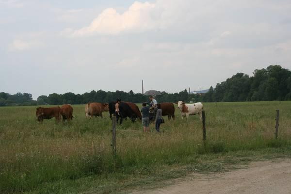 Bilder vom Making- of: Die Aufnahmen für den Jungbauernkalender 2013 in Bayern fanden im Mai statt