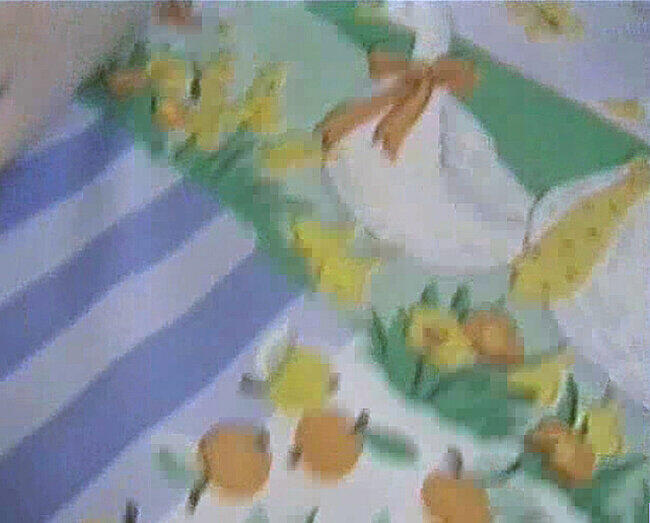 Wickelauflage mit Musterung Motiv "Gänse, gelbe/orange Äpfel"