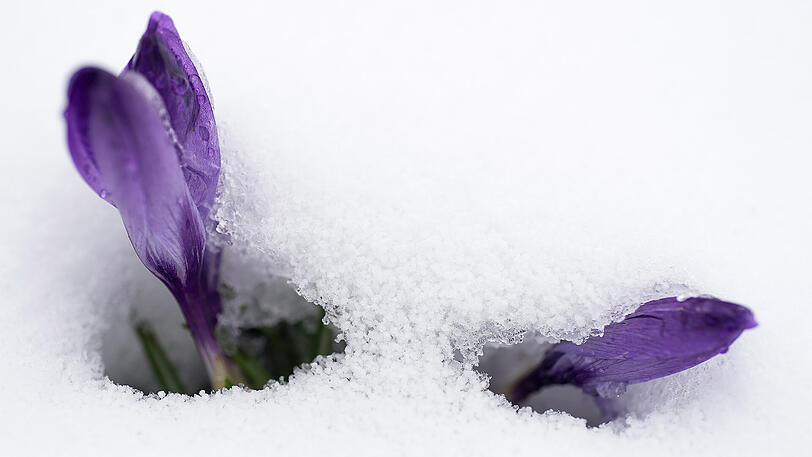 Der Frühling hat Sendepause - erst gegen Ende der Woche ist Besserung in Sicht.