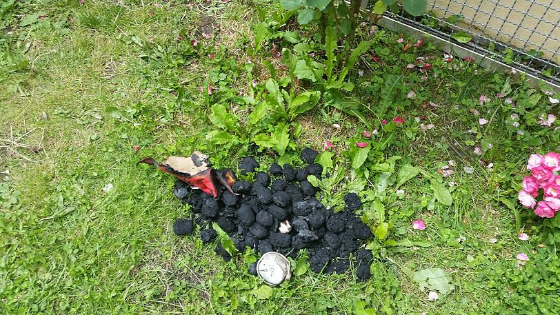 Reste von Grillkohle im Garten.