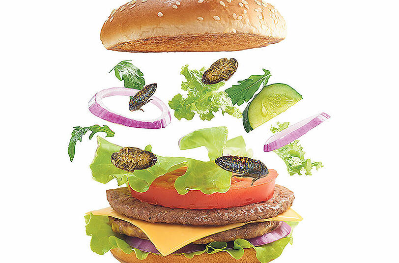 Ein Burger aus Kakerlaken? Wie sieht das Essen in der Zukunft aus?