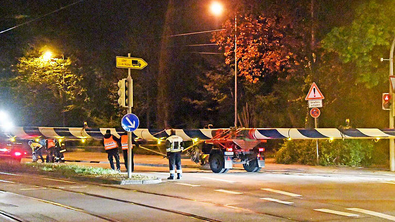 Der ehemals gestohlene Maibaum des Viktualienmarkts wurde am Montagmorgen gegen 3 Uhr zurück nach München gebracht.