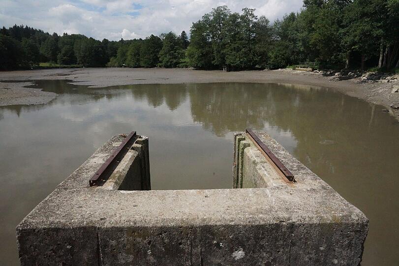 Bilder vom Badesee: Wo ist die Alligator-Schildkröte vom Oggenrieder Weiher?