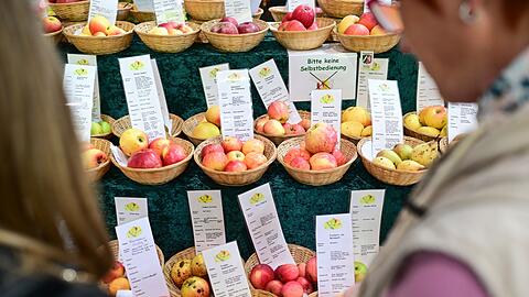 Besucher k&ouml;nnen sich &uuml;ber Lebensmittel informieren.