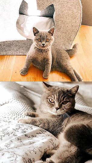 Mila und Lilly